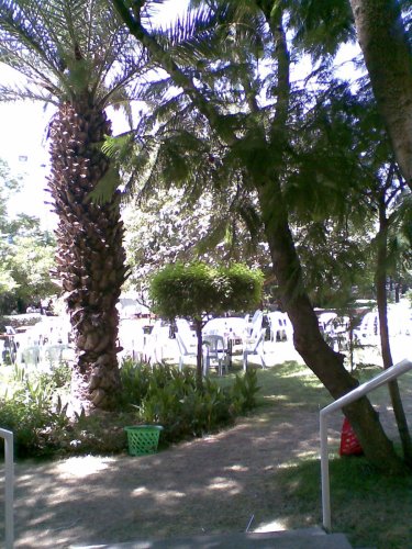 ���� ������ ����� 2007